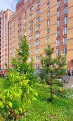 3-ком. квартира, 66 м², ул.Владимировская - 21 22173989.jpeg