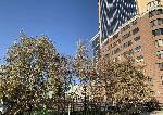 3-ком. квартира, 98 м&sup2;, ул.Линейная - 53 22480612.jpeg