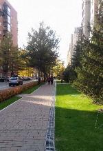 3-ком. квартира, 60 м&sup2;, ул.Дуси Ковальчук - 175 22481978.jpeg