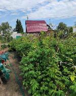  дом, 41 м&sup2;, ул.СНТ Буревестник 22493485.jpeg