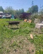  дом, 36 м&sup2;, снт Семицвет, ул.Цветочная 22492517.jpeg