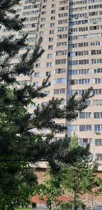 1-ком. квартира, 37 м&sup2;, ул.Бориса Богаткова - 260/1 22493673.jpeg