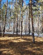  дом, 385 м&sup2;, ул.Ключ-Камышенское плато 22497779.jpeg