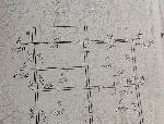 дом, 47 м², ул.Моховая 2-я дом, 47 м², ул.Моховая 2-я 22498745.jpeg