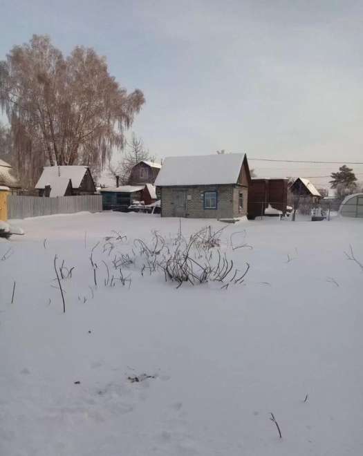 дом, 17 м², ул.СНТ Строитель дом, 17 м², ул.СНТ Строитель 22501901.jpeg