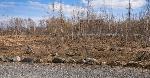  земельный участок, 1000 м&sup2;, пос. Октябрьский, ул.Весенняя 22516746.jpeg