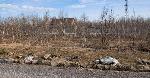  земельный участок, 1000 м&sup2;, пос. Октябрьский, ул.Весенняя 22516748.jpeg
