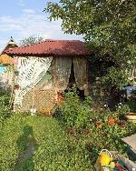  дом, 40 м&sup2;, Новосибирская обл., ул.СНТ Любитель 22522580.jpeg