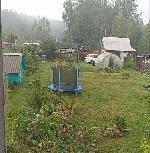  дом, 40 м&sup2;, Новосибирская обл., ул.СНТ Любитель 22522584.jpeg