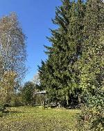 дом, 42 м², Новосибирская обл., ул.СНТ Дорожник дом, 42 м², Новосибирская обл., ул.СНТ Дорожник 22596487.jpeg