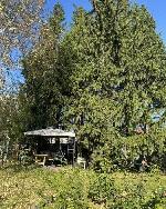 дом, 42 м², Новосибирская обл., ул.СНТ Дорожник дом, 42 м², Новосибирская обл., ул.СНТ Дорожник 22596488.jpeg