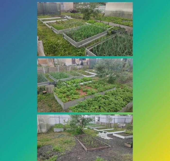 дом, 55 м², ул.Бердское ш дом, 55 м², ул.Бердское ш 22523387.jpeg