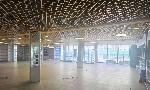 коммерческая, 555 м², ул.Челюскинцев коммерческая, 555 м², ул.Челюскинцев 22524669.jpeg