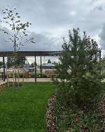 2-ком. квартира, 51 м&sup2;, ул.Ленинградская - 340 22527074.jpeg