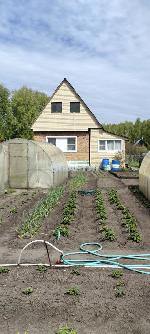 2-ком. дача, 60 м&sup2;, Коченевский район, СНТ Рассвет, ул.2 Элитная 22528757.jpg