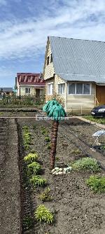 2-ком. дача, 60 м&sup2;, Коченевский район, СНТ Рассвет, ул.2 Элитная 22528767.jpg