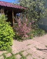  дом, 70 м&sup2;, Новосибирская обл., ул.СНТ Парус 22528897.jpeg