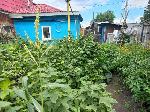 дом, 53 м², ул.Танкистов 2-й пер дом, 53 м², ул.Танкистов 2-й пер 22529255.jpeg
