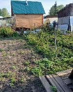  земельный участок, 500 м&sup2;, ул.СНТ Кедр 22532476.jpeg