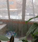 1-ком. квартира, 33 м&sup2;, ул.Некрасова - 61 22535495.jpeg