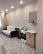 1-ком. квартира, 22 м², Каменка, ул.Каменка - 2 1-ком. квартира, 22 м², Каменка, ул.Каменка - 2 22535964.jpeg