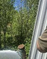  земельный участок, 6 м&sup2;, ул.Центральная 22536156.jpeg