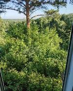  дом, 50 м&sup2;, ул.СНТ Труд 22538079.jpeg
