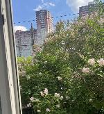 1-ком. квартира, 33 м², ул.Танковая - 19 1-ком. квартира, 33 м², ул.Танковая - 19 22538784.jpeg