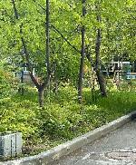 2-ком. квартира, 45 м&sup2;, ул.Героев Труда - 35 22539996.jpeg