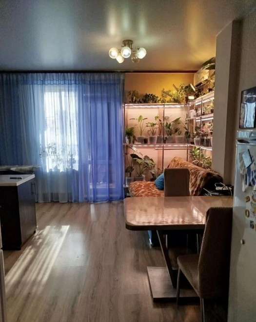 1-ком. квартира, 51 м², ул.Петухова - 16/4 1-ком. квартира, 51 м², ул.Петухова - 16/4 22543806.jpeg