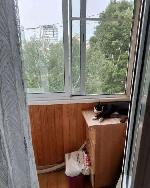 1-ком. квартира, 30 м&sup2;, ул.Менделеева - 4 22545400.jpeg