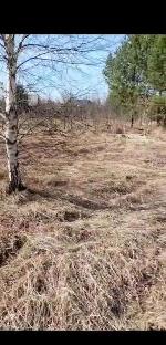 земельный участок, 11 м², снт Судостроитель, ул.Садовая земельный участок, 11 м², снт Судостроитель, ул.Садовая 22549689.jpeg