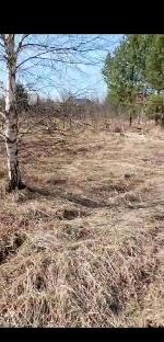 земельный участок, 11 м², снт Судостроитель, ул.Садовая земельный участок, 11 м², снт Судостроитель, ул.Садовая 22552441.jpeg