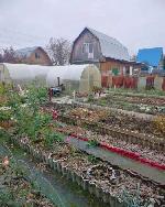 дом, 25 м², территория НСТ Чистые пруды, ул.Сторожевая дом, 25 м², территория НСТ Чистые пруды, ул.Сторожевая 22549840.jpeg