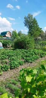 земельный участок, 7 м², ул.СНТ Строитель земельный участок, 7 м², ул.СНТ Строитель 22552445.jpeg