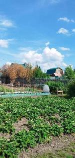 земельный участок, 7 м², ул.СНТ Строитель земельный участок, 7 м², ул.СНТ Строитель 22552446.jpeg