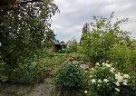 дом, 60 м², ул.СНТ Дорожник дом, 60 м², ул.СНТ Дорожник 22564774.jpeg