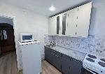 1-ком. квартира, 31 м², ул.Ветлужская - 8 1-ком. квартира, 31 м², ул.Ветлужская - 8 22558392.jpeg