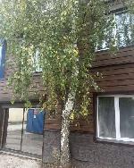  дом, 55 м&sup2;, ул.Бердский Тупик 22591234.jpeg