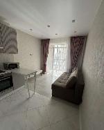 1-ком. квартира, 27 м&sup2;, ул.Светлановская - 52/1 22560626.jpeg