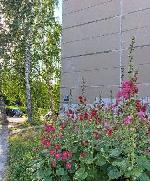 2-ком. квартира, 45 м², ул.Иванова - 42 2-ком. квартира, 45 м², ул.Иванова - 42 22561547.jpeg
