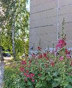 2-ком. квартира, 45 м², ул.Иванова - 42 2-ком. квартира, 45 м², ул.Иванова - 42 22589077.jpeg