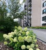 3-ком. квартира, 112 м&sup2;, ул.Дачное ш - 22 22567552.jpeg