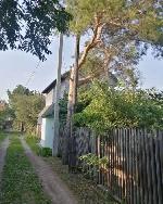 дом, 38 м², ул.СНТ Сибирь дом, 38 м², ул.СНТ Сибирь 22567118.jpeg