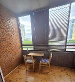 1-ком. квартира, 23 м&sup2;, ул.Ипподромская - 48 22567831.jpeg