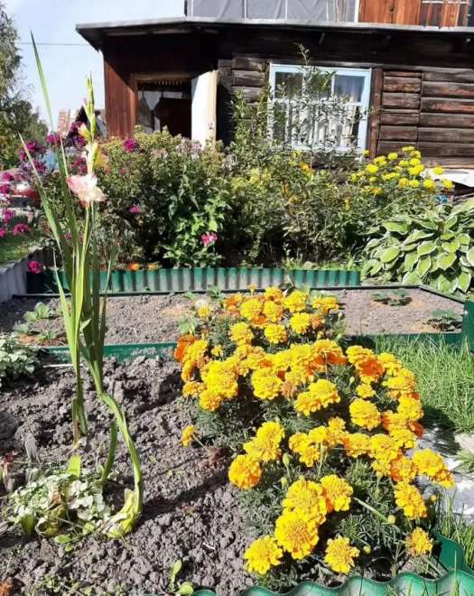 земельный участок, 4 м², ул.СНТ Метростроитель земельный участок, 4 м², ул.СНТ Метростроитель 22570044.jpeg