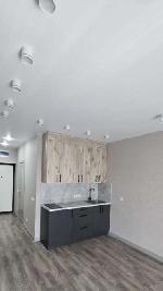 1-ком. квартира, 28 м&sup2;, ул.Красный пр-кт - 182/3 22570130.jpeg