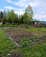 дом, 20 м², ул.СНТ Любитель дом, 20 м², ул.СНТ Любитель 22572908.jpeg