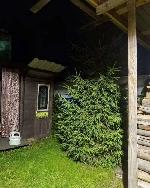  дом, 36 м&sup2;, Новосибирская обл., ул.СНТ Маяк 22575829.jpeg