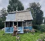 дом, 20 м², Новосибирская обл., ул.СНТ Золотая горка дом, 20 м², Новосибирская обл., ул.СНТ Золотая горка 22591970.jpeg